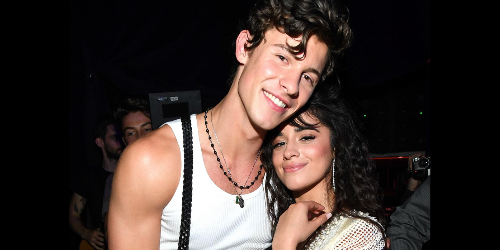 Shawn Mendes and Camila Cabello Relationship Status